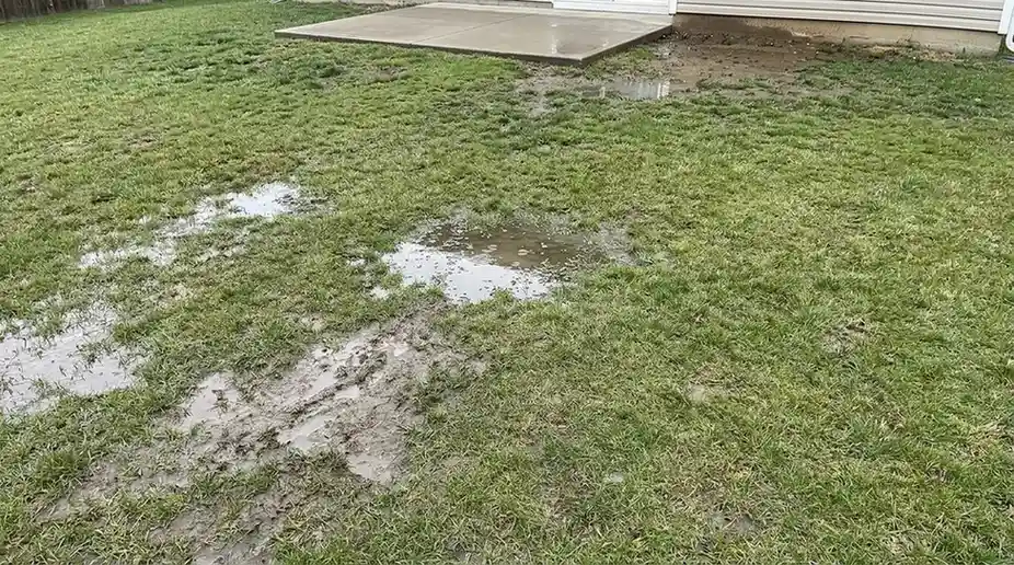 lawn poor drainage