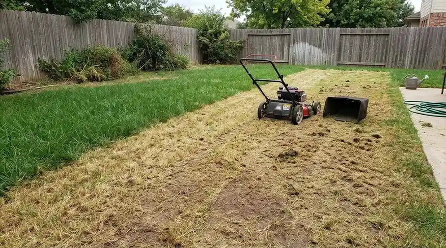 Grass cut too short by lawn mower